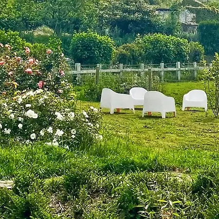 Les 2 Des De Capucine Carcagny