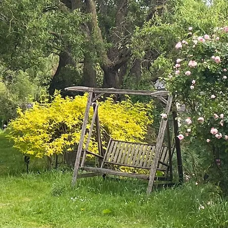 Les 2 Des De Capucine 3*