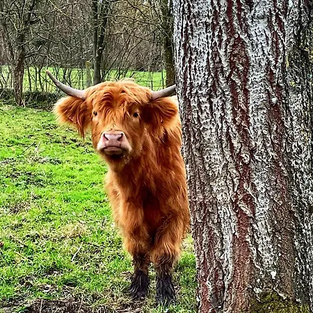 Les 2 Des De Capucine 3* Carcagny