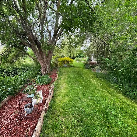 Les 2 Des De Capucine Carcagny