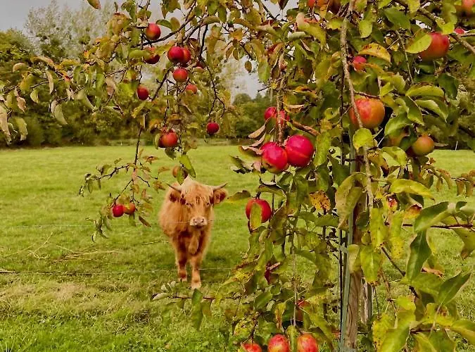 Les 2 Des De Capucine Guest house 3*