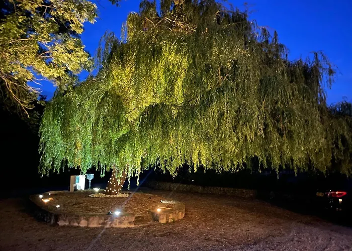 Les 2 Des De Capucine Guest house 3*