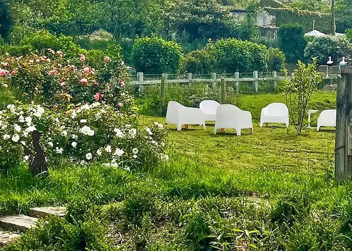 Les 2 Des De Capucine Carcagny