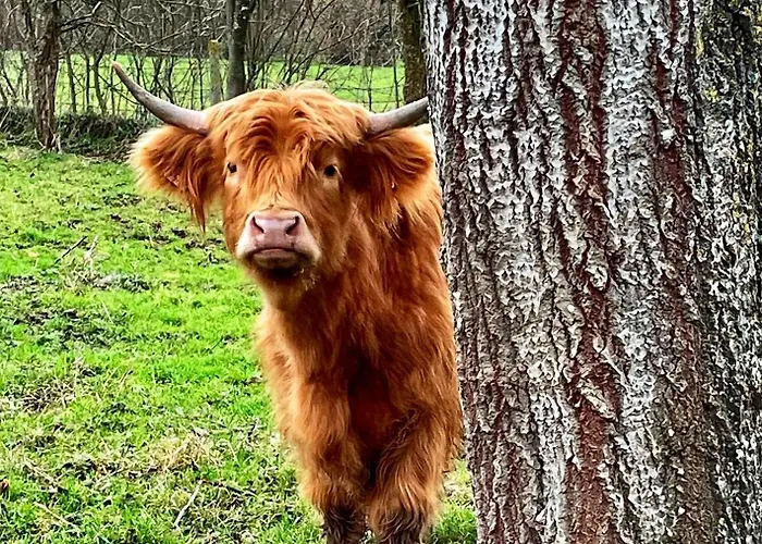 Les 2 Des De Capucine 3* Carcagny