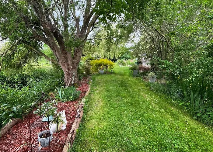 Les 2 Des De Capucine Carcagny